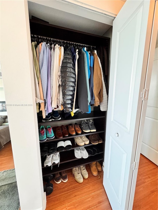 view of closet