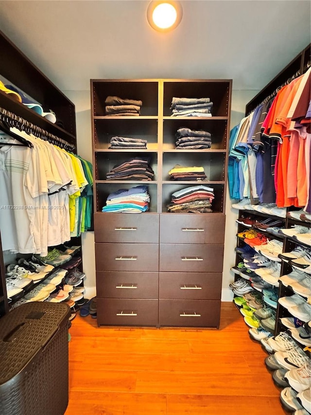 spacious closet with hardwood / wood-style flooring