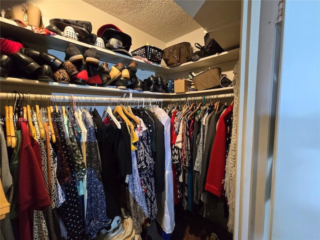 view of walk in closet