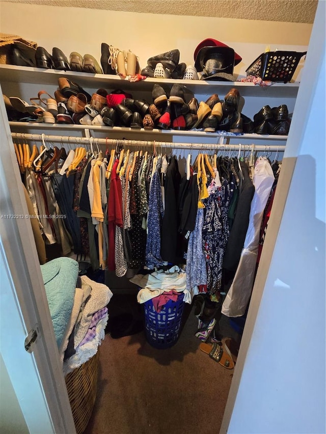 walk in closet featuring carpet floors