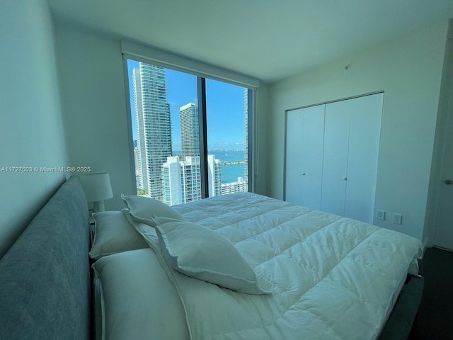 bedroom featuring a closet and a water view