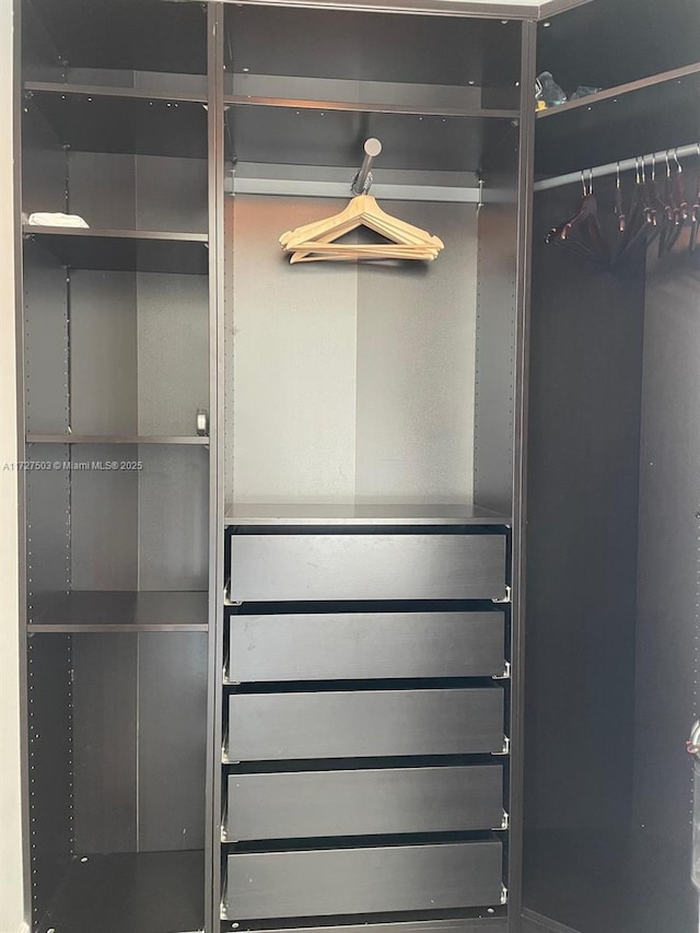 view of closet