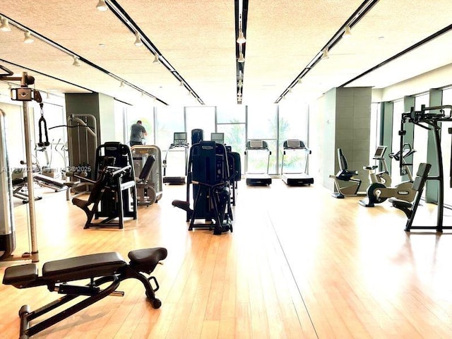 workout area with light hardwood / wood-style floors