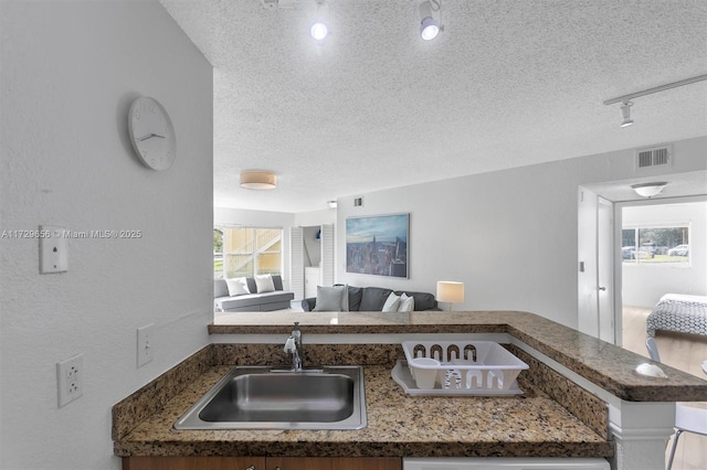 kitchen featuring track lighting, a healthy amount of sunlight, sink, and a textured ceiling