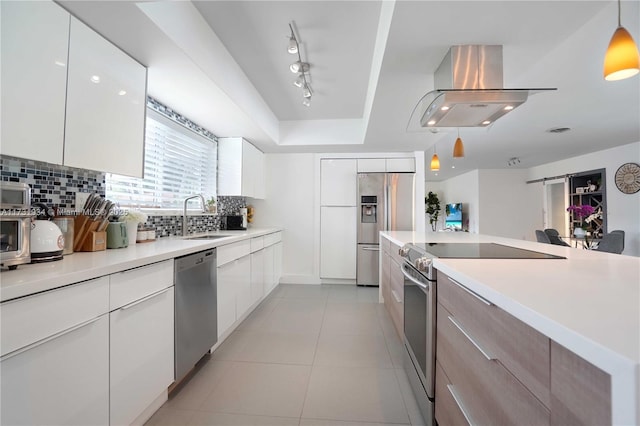 kitchen featuring white cabinetry, appliances with stainless steel finishes, pendant lighting, island exhaust hood, and a barn door