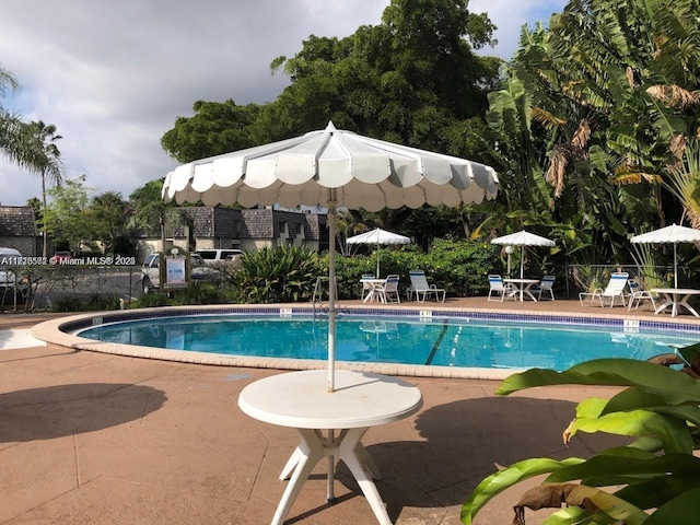 view of pool featuring a patio