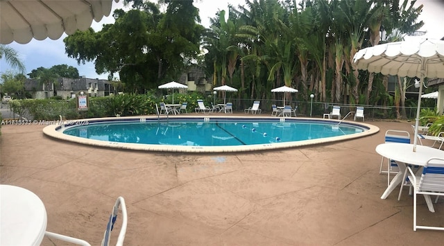 view of swimming pool featuring a patio