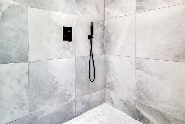 interior details with tiled shower