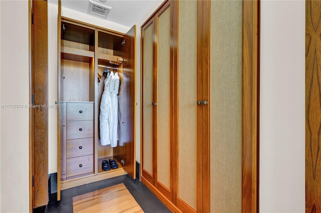 view of closet