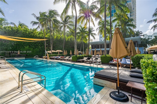 view of pool with a patio area