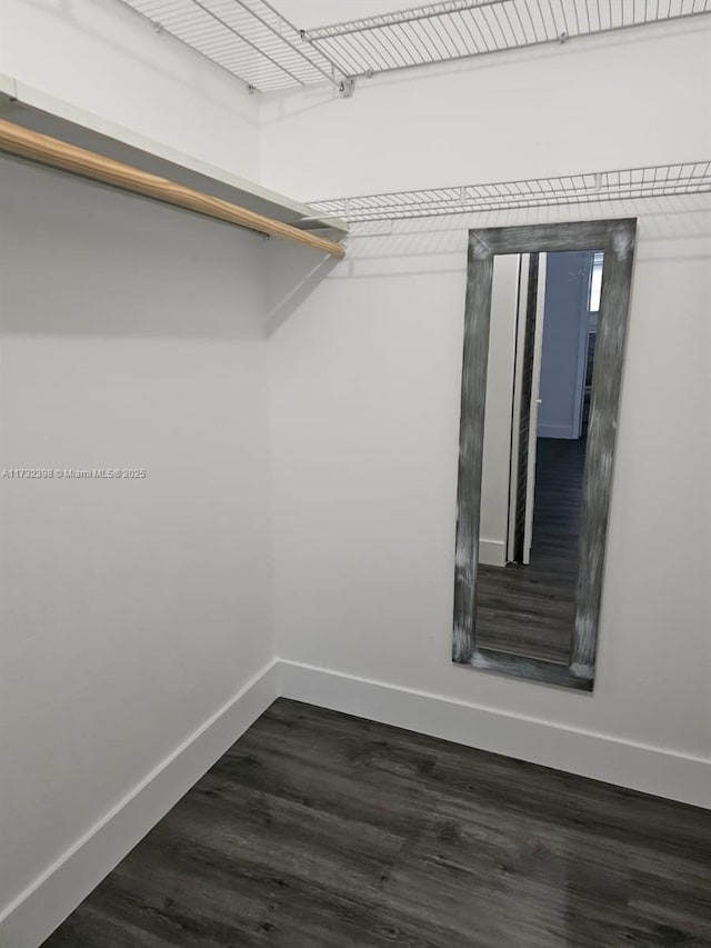 walk in closet with dark hardwood / wood-style floors