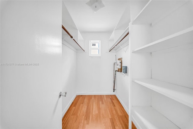 walk in closet with light wood-type flooring