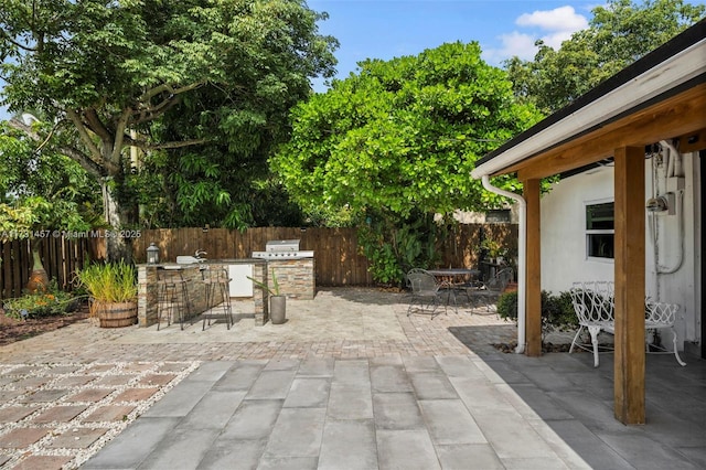 view of patio / terrace featuring area for grilling, exterior bar, and an outdoor kitchen