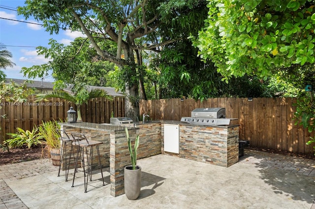 view of patio / terrace featuring an outdoor kitchen, area for grilling, and an outdoor wet bar