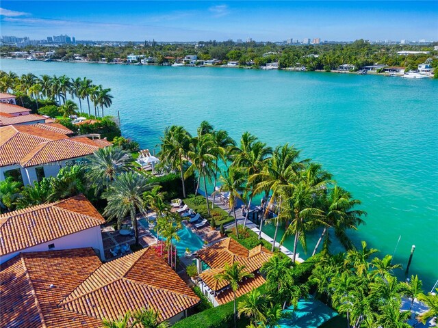 aerial view with a water view