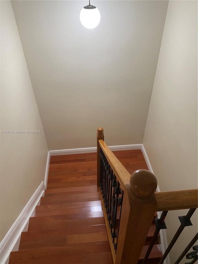 stairway featuring wood-type flooring