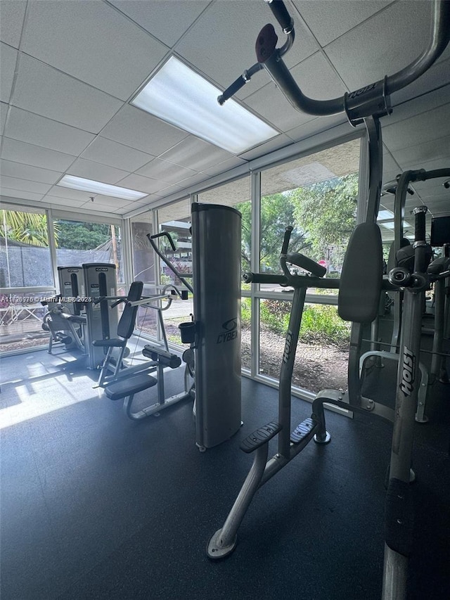 gym with expansive windows and a paneled ceiling