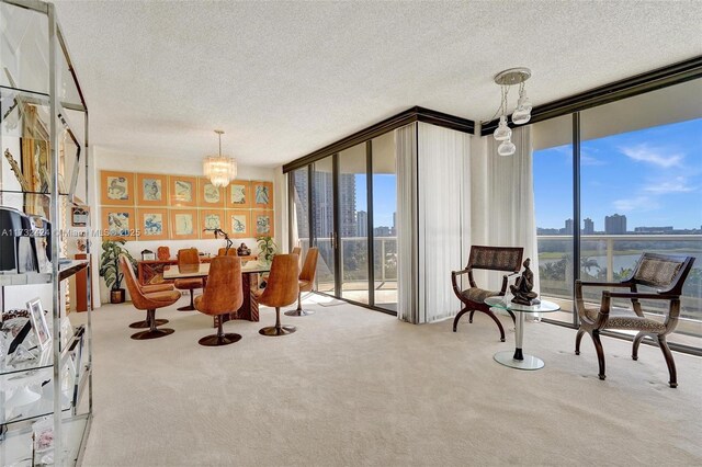 carpeted living room featuring expansive windows and a textured ceiling