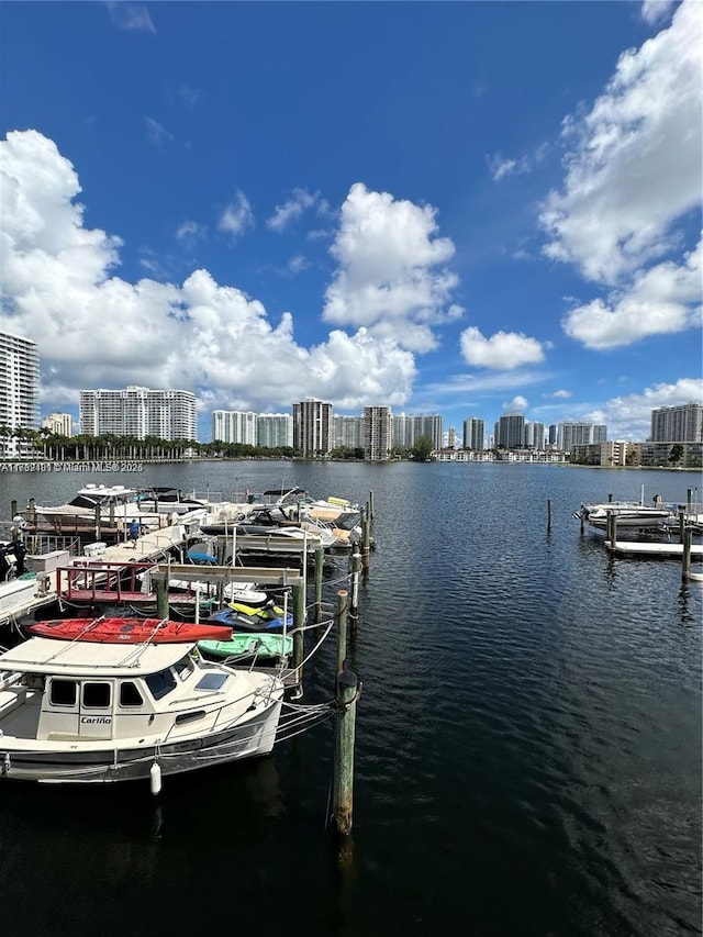 dock area with a water view