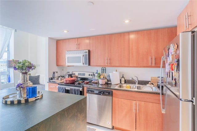 kitchen with appliances with stainless steel finishes and sink