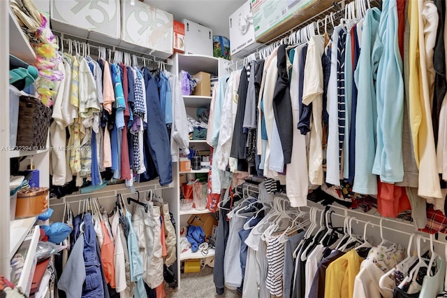 walk in closet featuring carpet