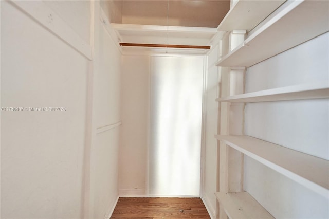 walk in closet featuring wood-type flooring