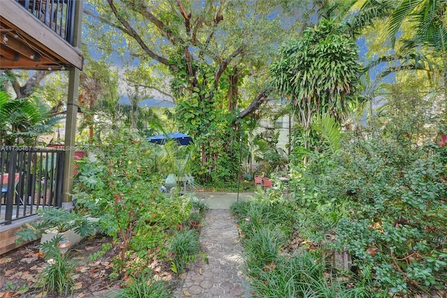 view of yard with a patio