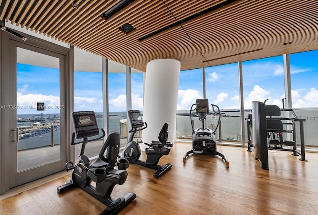 exercise room featuring expansive windows, a water view, and light wood-style flooring