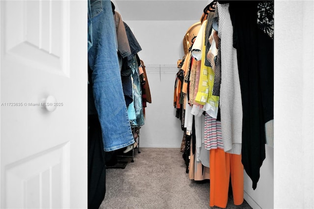 walk in closet featuring light colored carpet