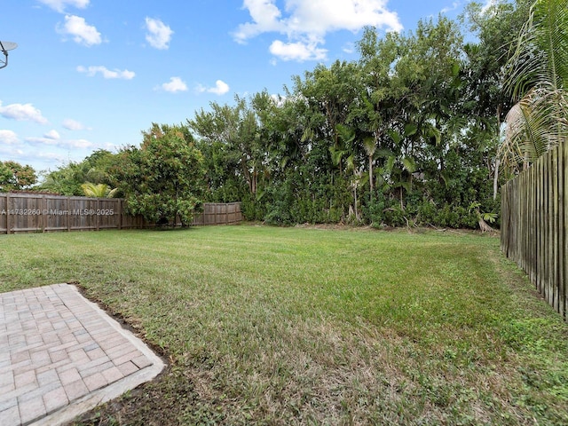 view of yard with a patio