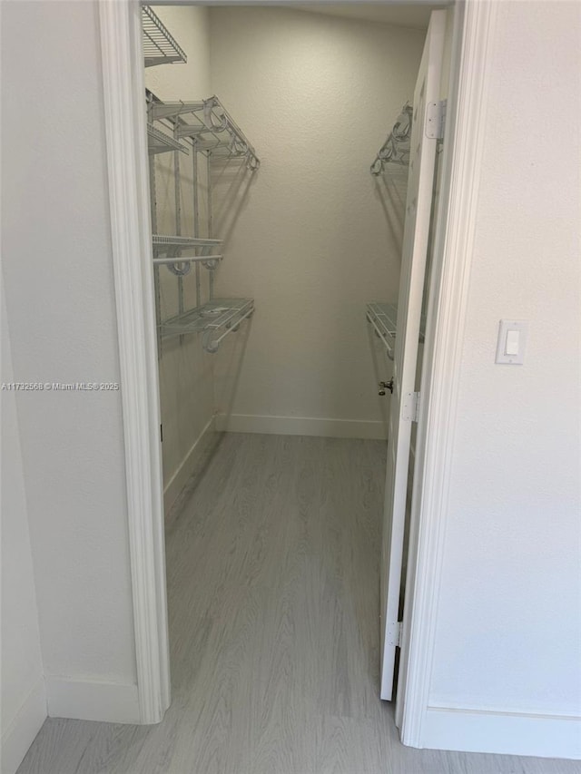 walk in closet with hardwood / wood-style flooring