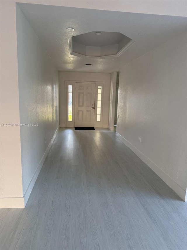 entryway with a tray ceiling and hardwood / wood-style floors