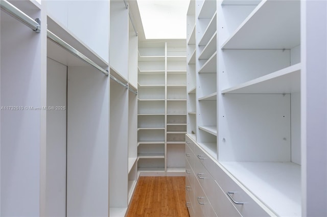 walk in closet with light wood-style floors