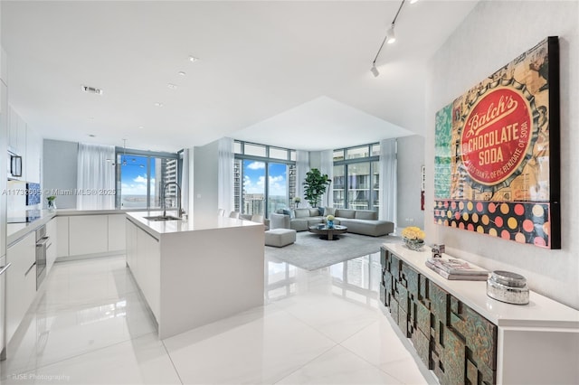 kitchen with expansive windows, white cabinetry, sink, and a large island with sink