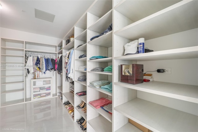 view of spacious closet