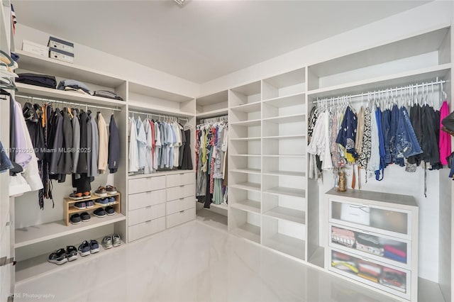 view of spacious closet