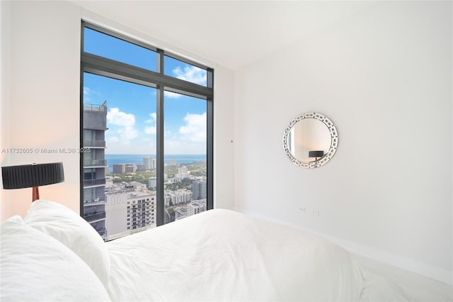 bedroom featuring expansive windows