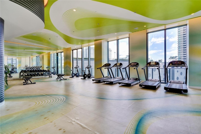 gym with expansive windows