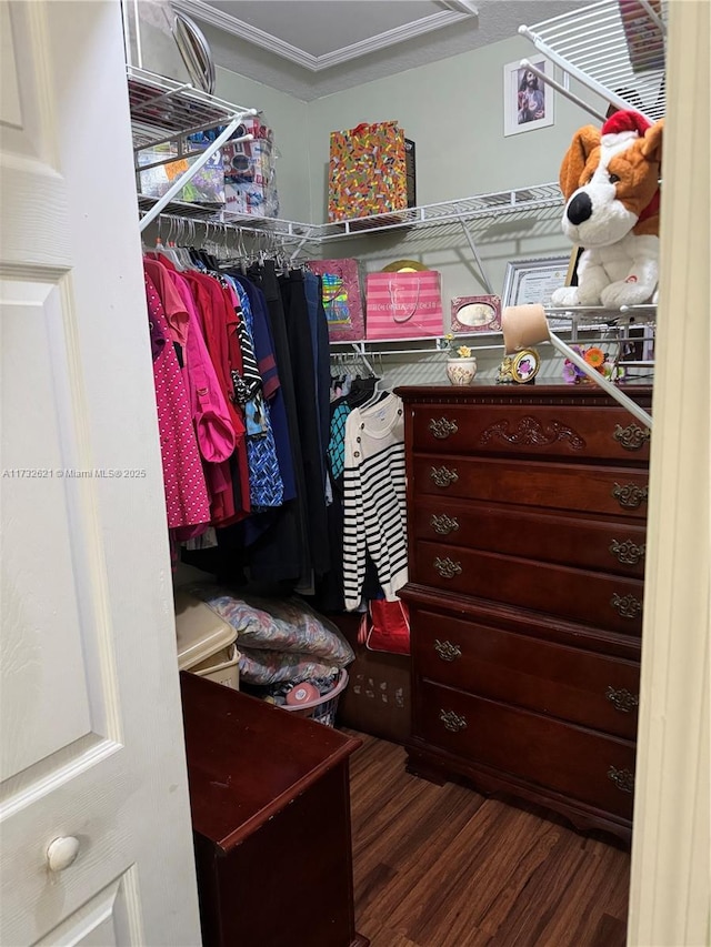 spacious closet featuring dark hardwood / wood-style floors