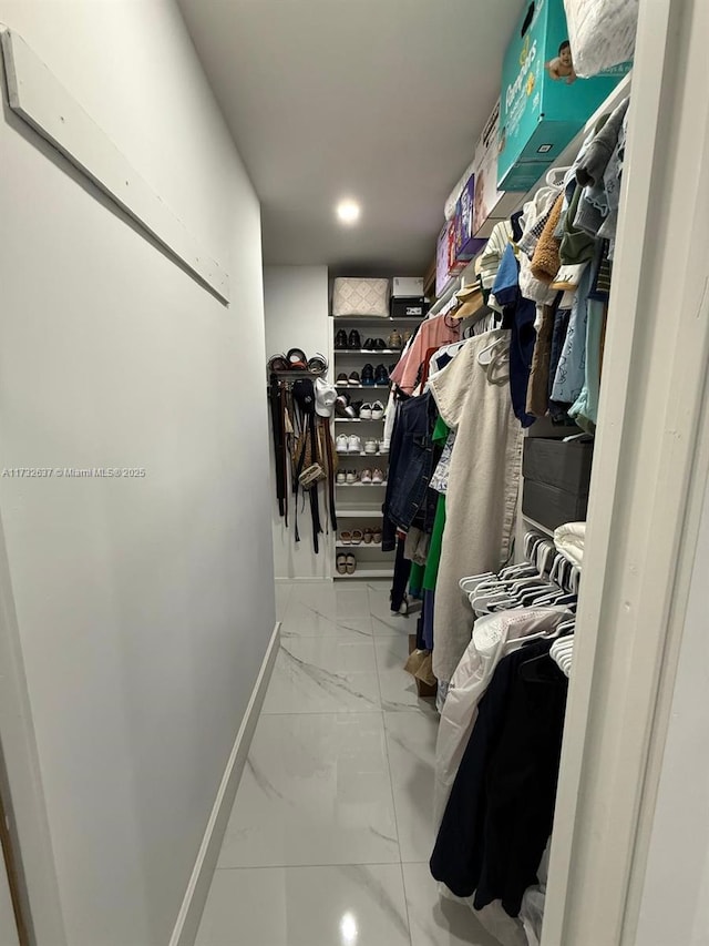 view of spacious closet