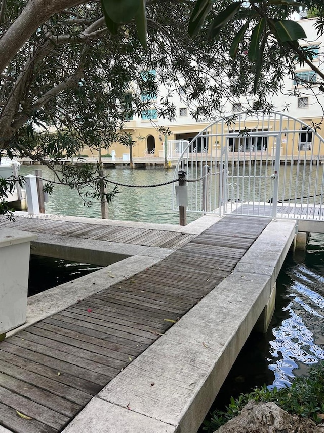 dock area with a water view