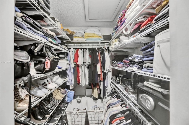 view of spacious closet