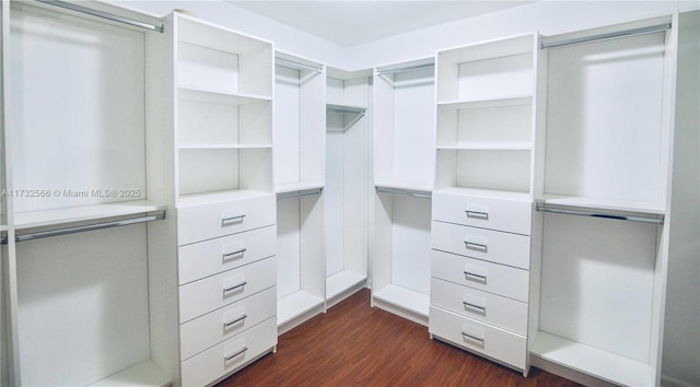 walk in closet featuring dark wood-type flooring