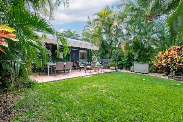 view of yard featuring a patio area