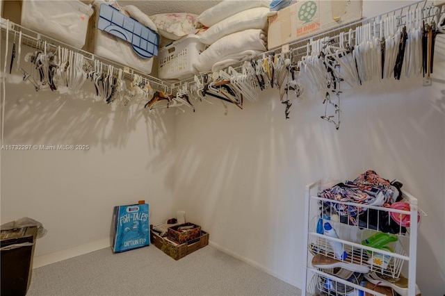 spacious closet with carpet floors