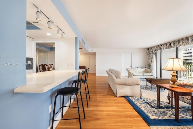 living room featuring hardwood / wood-style floors