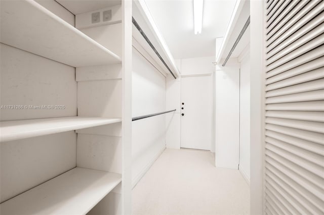 view of walk in closet