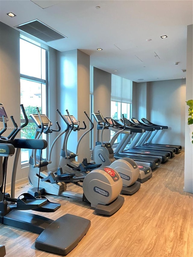 gym featuring hardwood / wood-style floors and a wealth of natural light