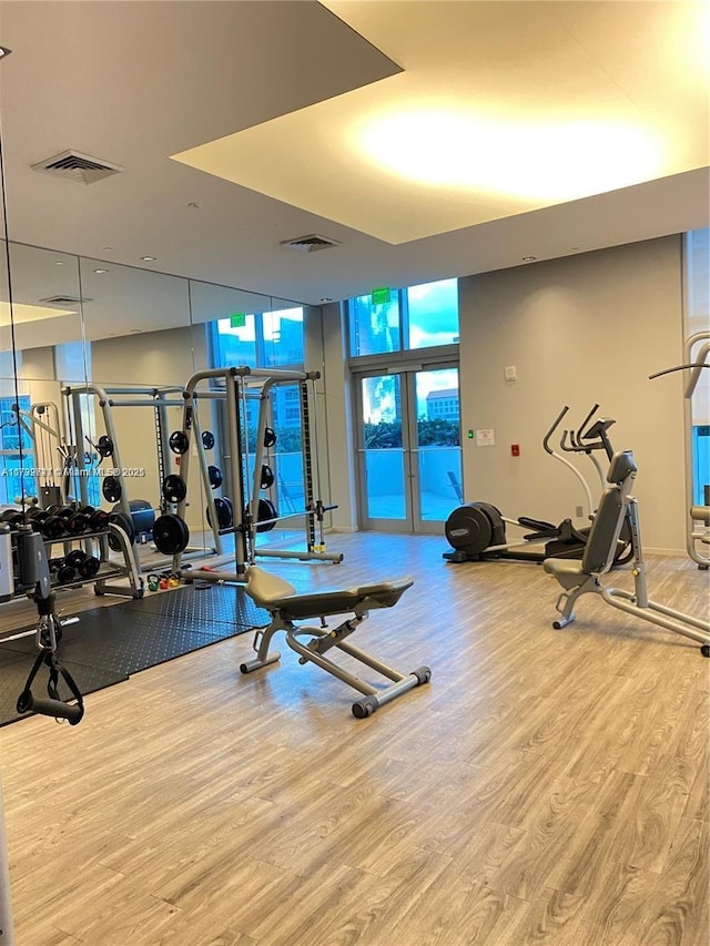 exercise room featuring wood-type flooring, expansive windows, and french doors