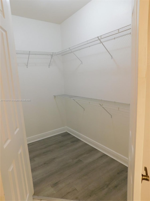 walk in closet featuring dark hardwood / wood-style flooring